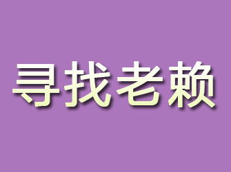 沈河寻找老赖