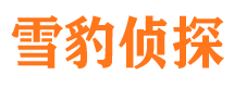 沈河市侦探公司